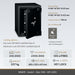 Insafe Grade 1 110K safe image and specifications table